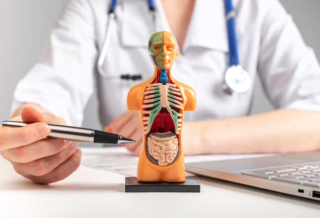 677265e6eac8c0434906e114_6769139dad492a6cbb5d39c1_InternalMedicine-1